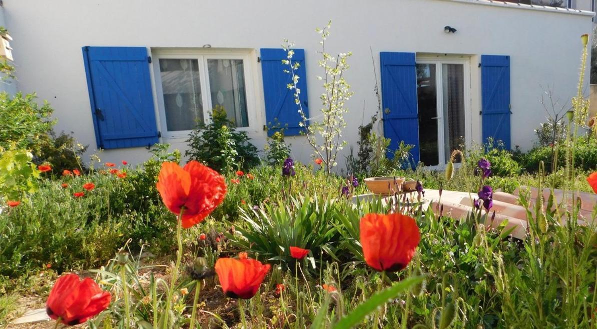 Maisonnette De Jardin Marseille Luaran gambar