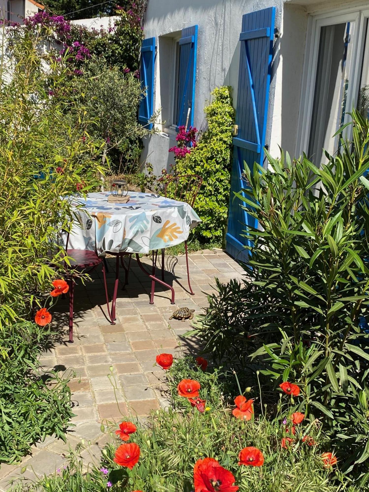 Maisonnette De Jardin Marseille Luaran gambar