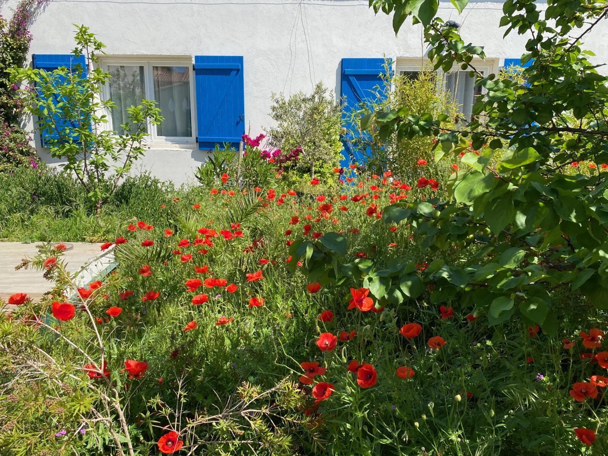 Maisonnette De Jardin Marseille Luaran gambar